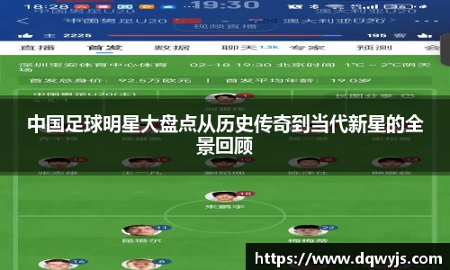 中国足球明星大盘点从历史传奇到当代新星的全景回顾